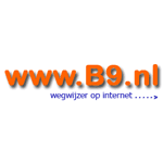 Website B9 Beeldende kunst